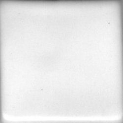 Coyote Satin White Liner Glaze