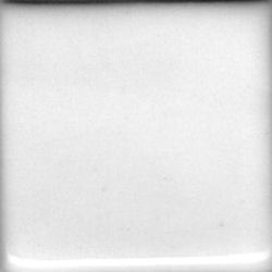 Coyote Gloss White Liner Glaze