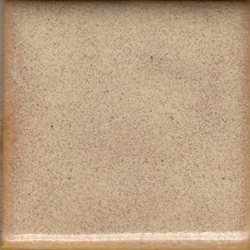 Coyote Beechnut Glaze