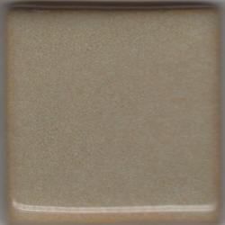 Coyote Birch (Brown Overcoat) Glaze