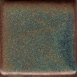 Coyote Andromeda Glaze