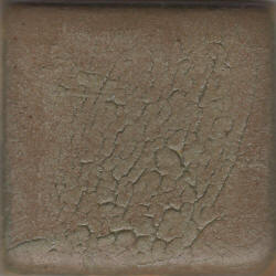 Coyote Croc Crawl Glaze