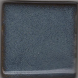 Coyote Croc Blue Glaze