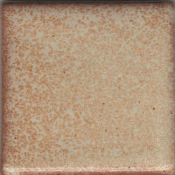 Coyote Leopard Shino Glaze