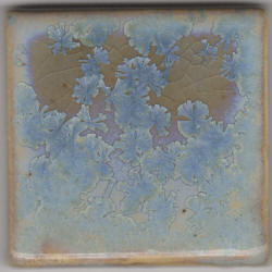 Coyote Crystal Aurora Glaze