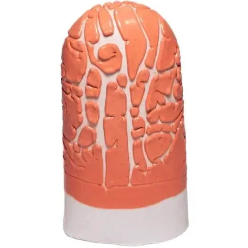 Ritual Glaze △5-6 Crawl - Orange - Soul Ceramics