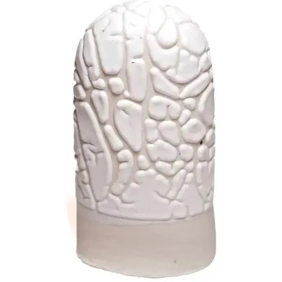 Ritual Glaze △5-6 Crawl - White - Soul Ceramics