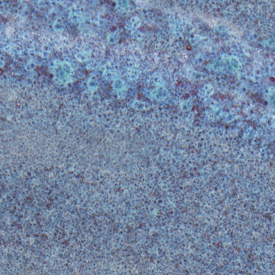 Speedball Mid-Fire Lavender Mist Glaze - Soul Ceramics