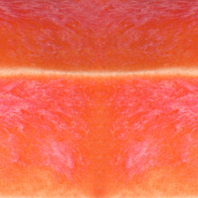 Speedball Mid-Fire Living Coral Glaze - Soul Ceramics