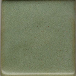 Coyote Deep Avocado Glaze