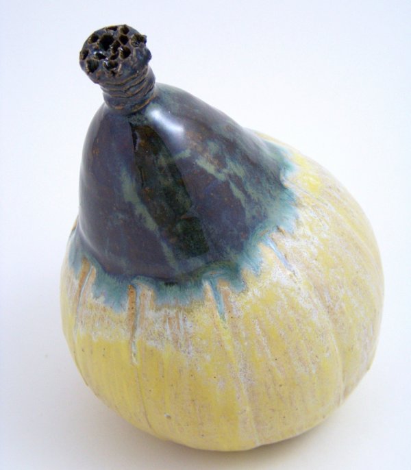 Coyote Lemon Cream Satin Glaze