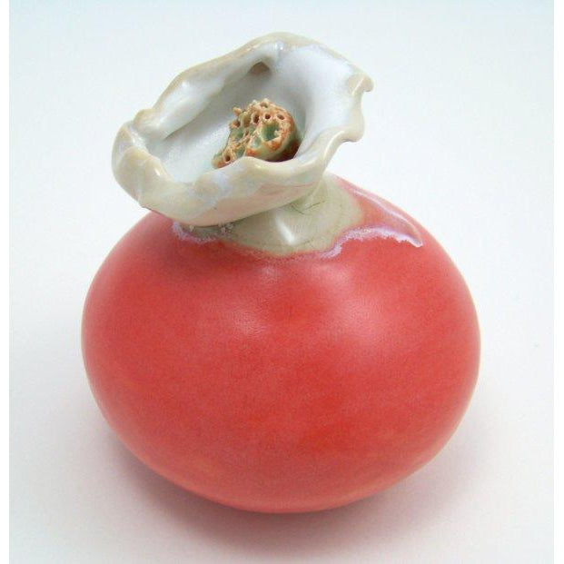 Coyote Alabaster Satin Glaze