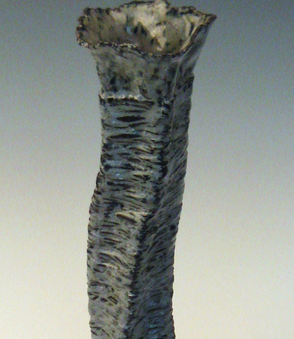 Coyote Pam's Blue Glaze