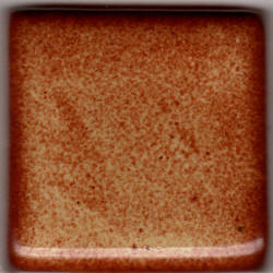 Coyote Shino Glaze