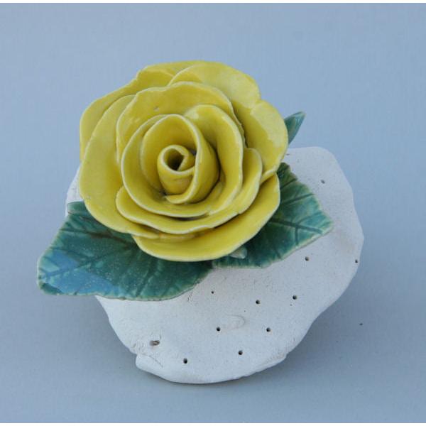Coyote Buttercup Glaze - Soul Ceramics