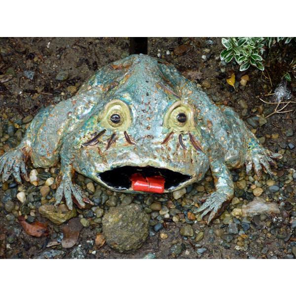 Coyote Cactus Crawl Glaze - Soul Ceramics