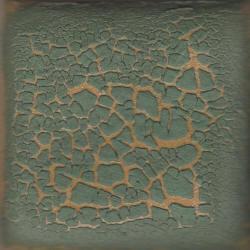 Coyote Cactus Crawl Glaze - Soul Ceramics