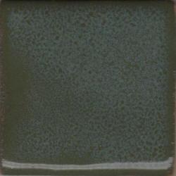 Coyote Cactus Green Glaze - Soul Ceramics
