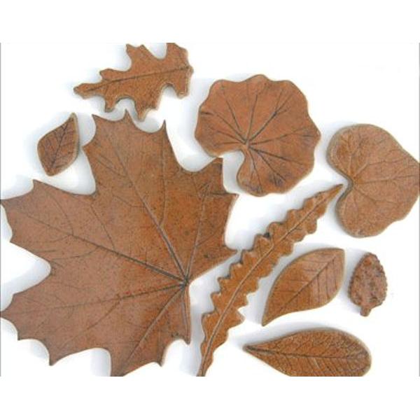 Coyote Cinnamon Stick Glaze - Soul Ceramics