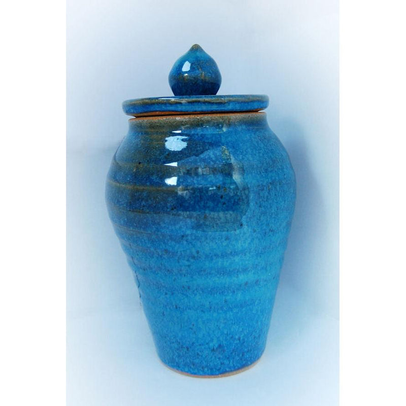 Coyote Oasis Glaze - Soul Ceramics