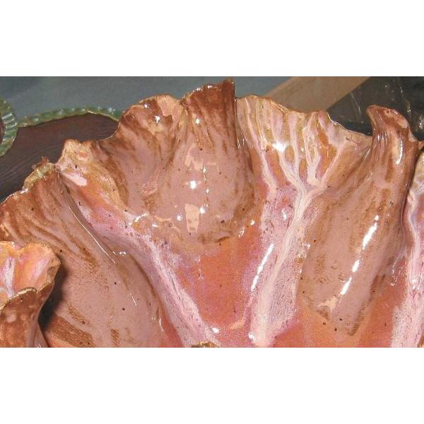 Coyote Plum Shino Glaze - Soul Ceramics