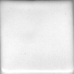 Coyote Satin White Liner Glaze - Soul Ceramics