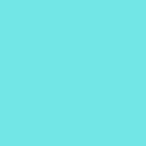 Paragon Color - Turquoise